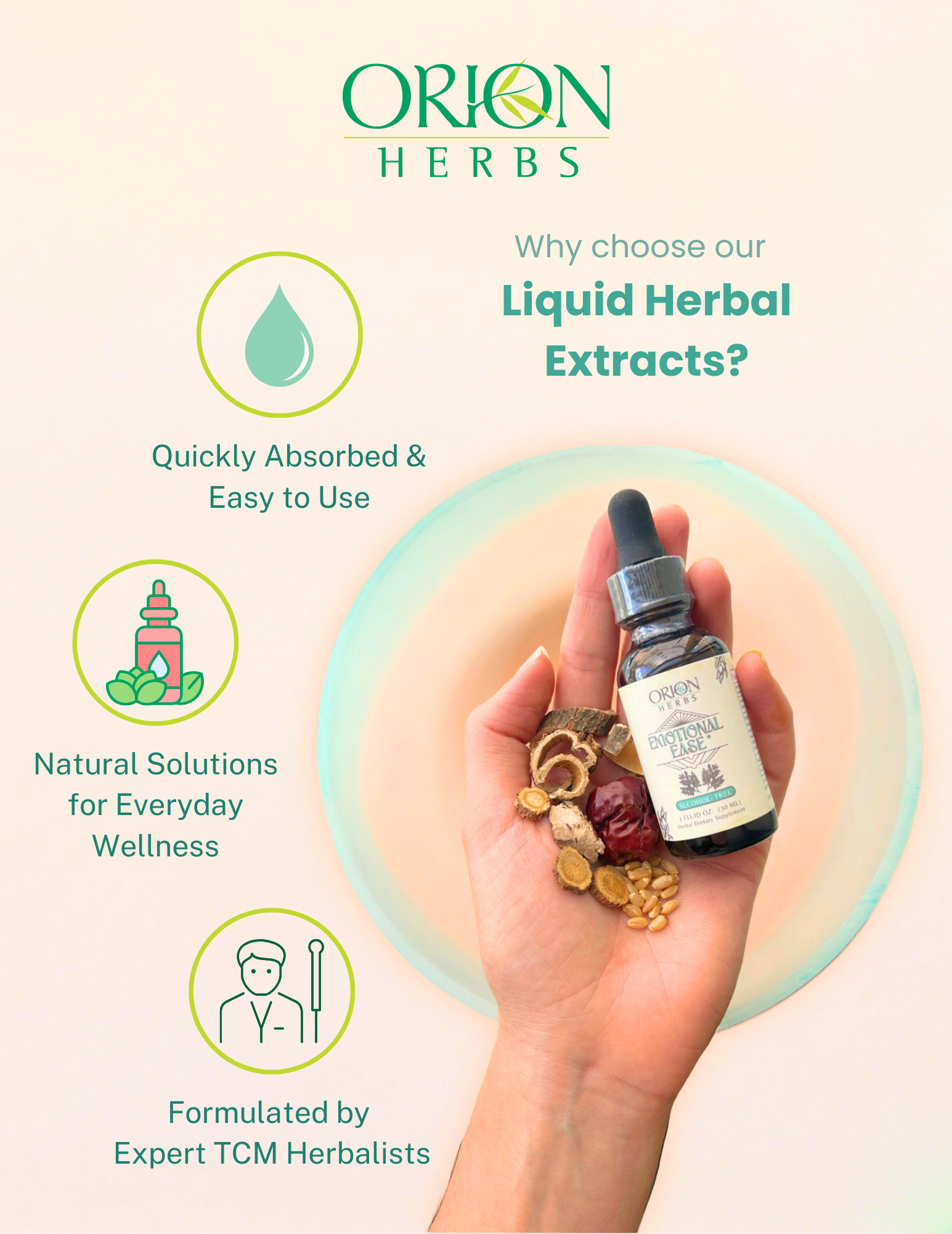 Green Tea Extract 2oz