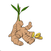 Orion Herbs Company