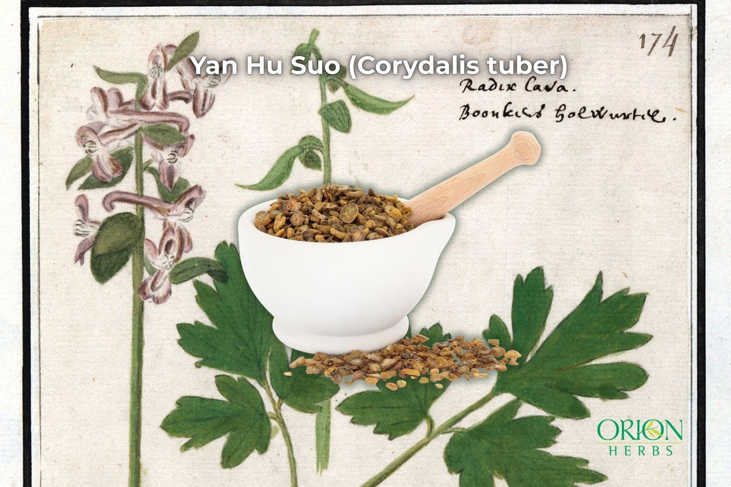 Orion Herbs Company