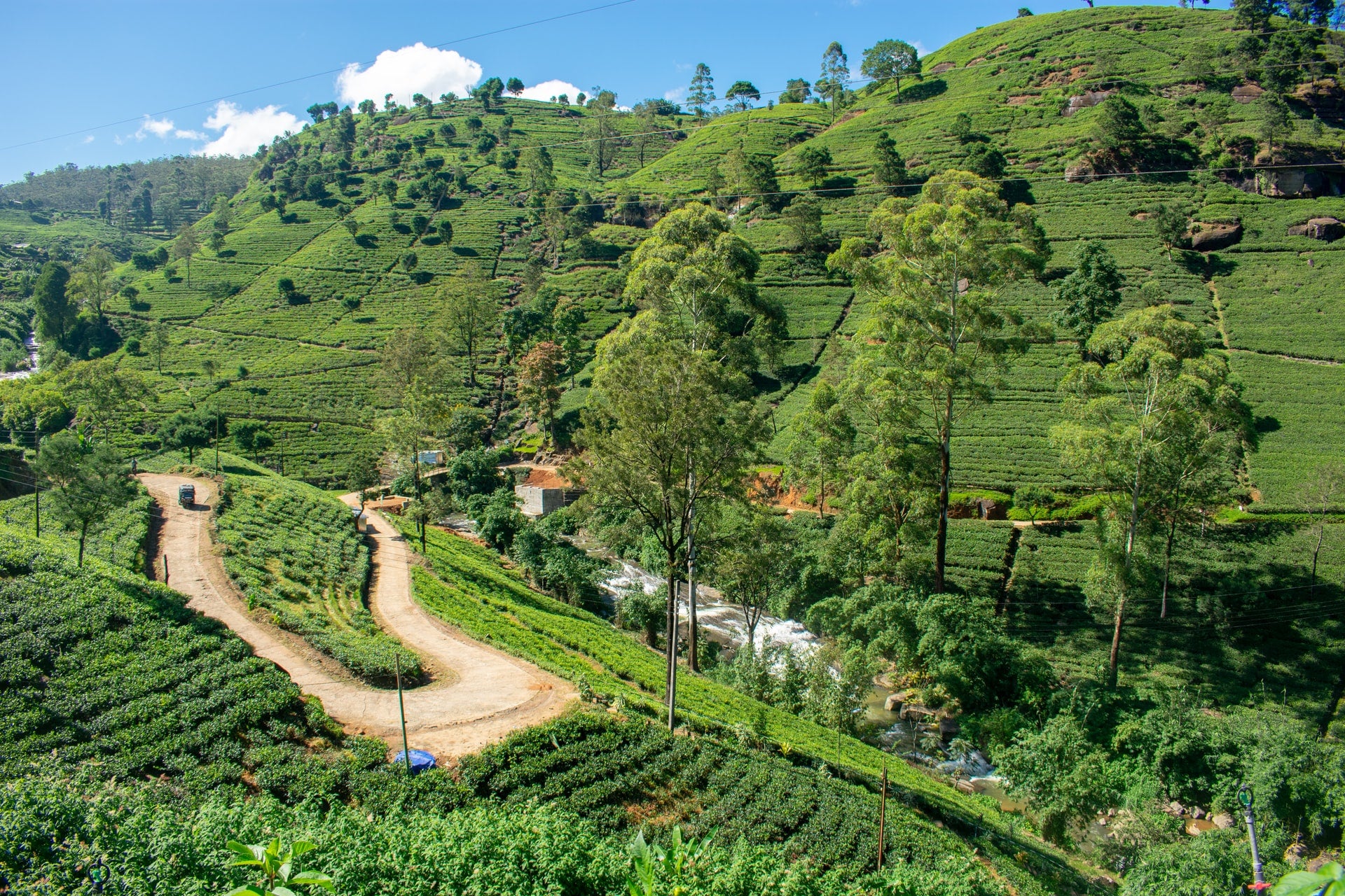 Orion Herbs Company