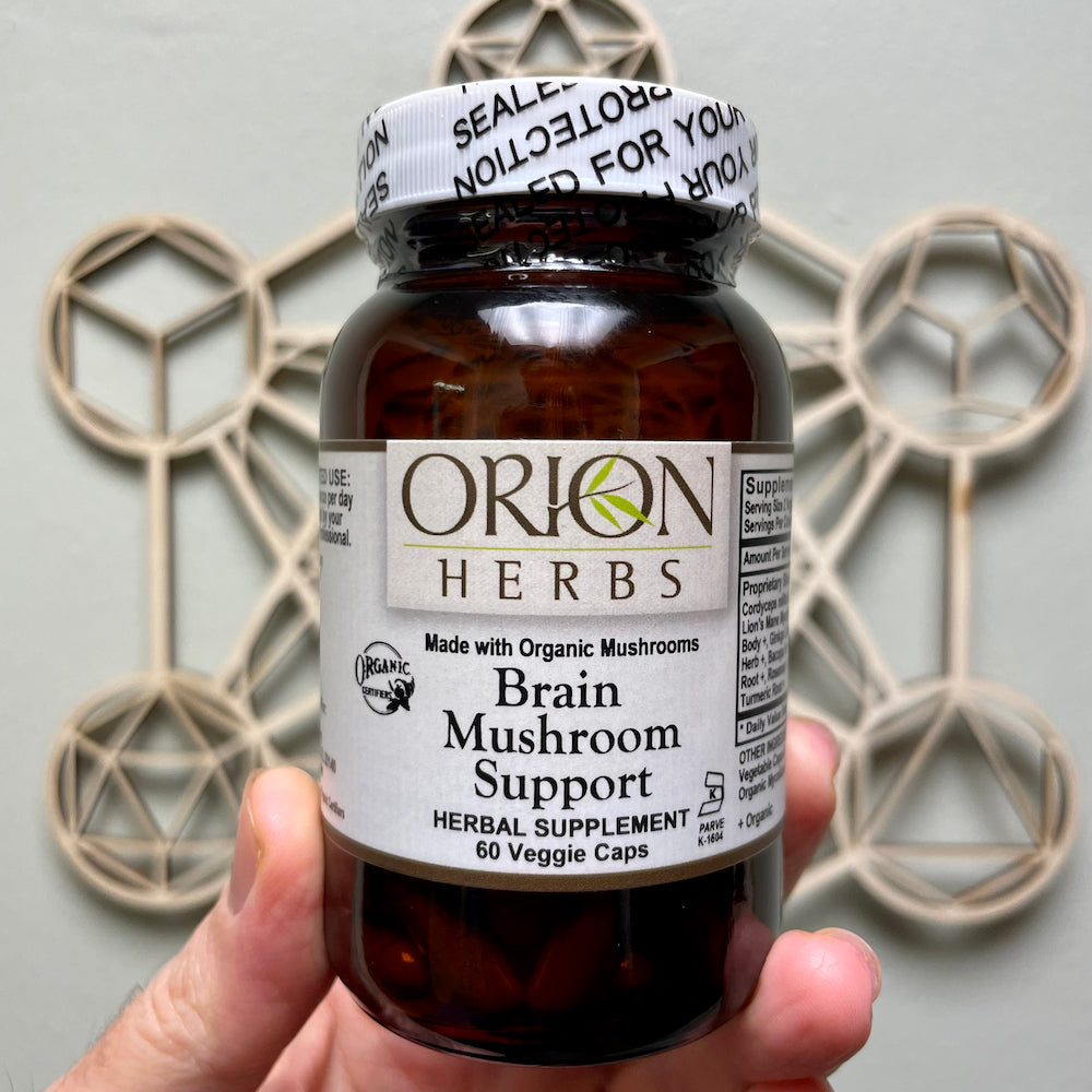 Brain Mushroom Support 60c