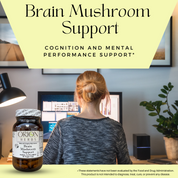 Brain Mushroom Support 60c