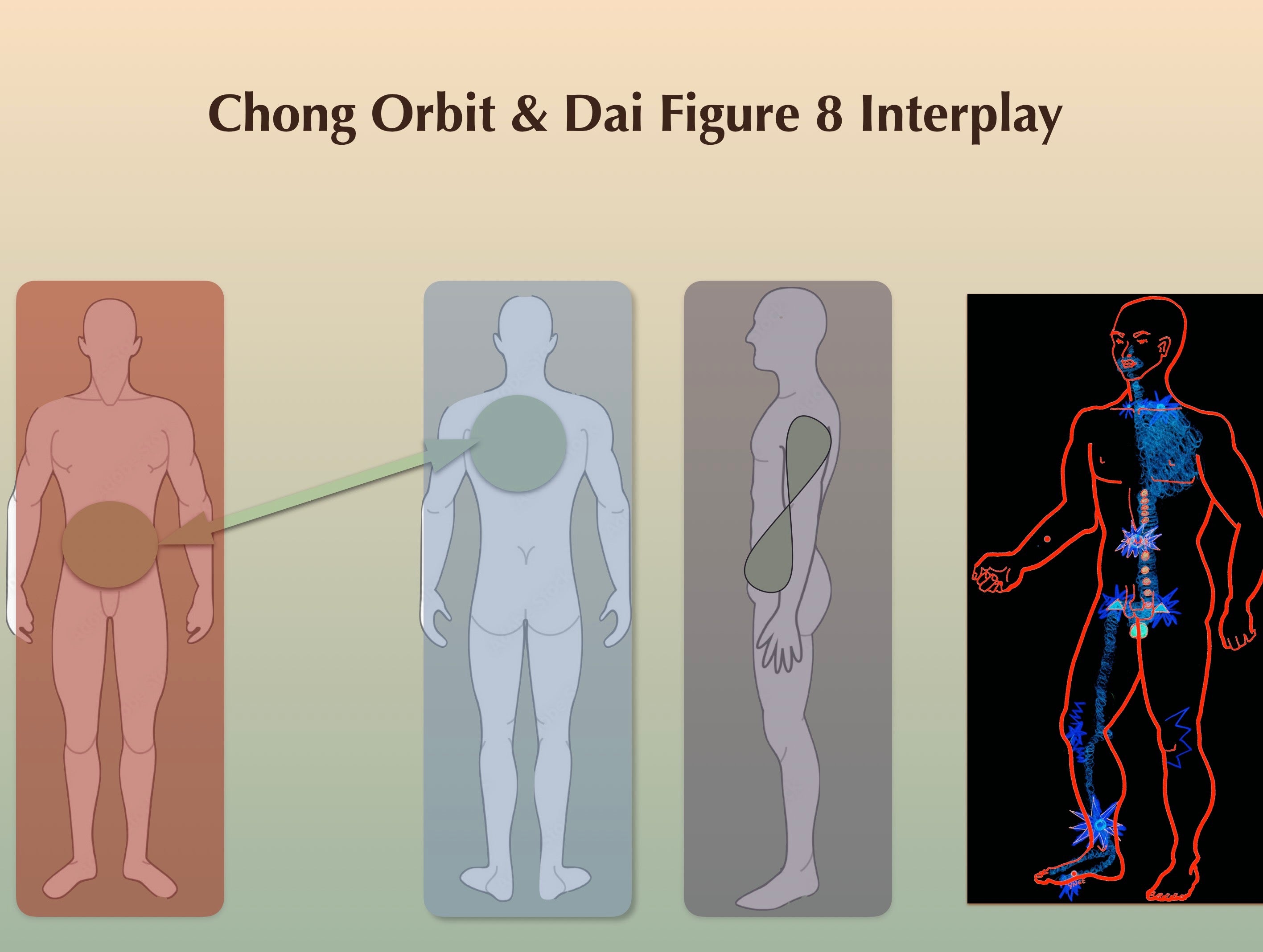 Treating Chronic Pain with Acupuncture’s Extraordinary Vessels - In Person Workshop
