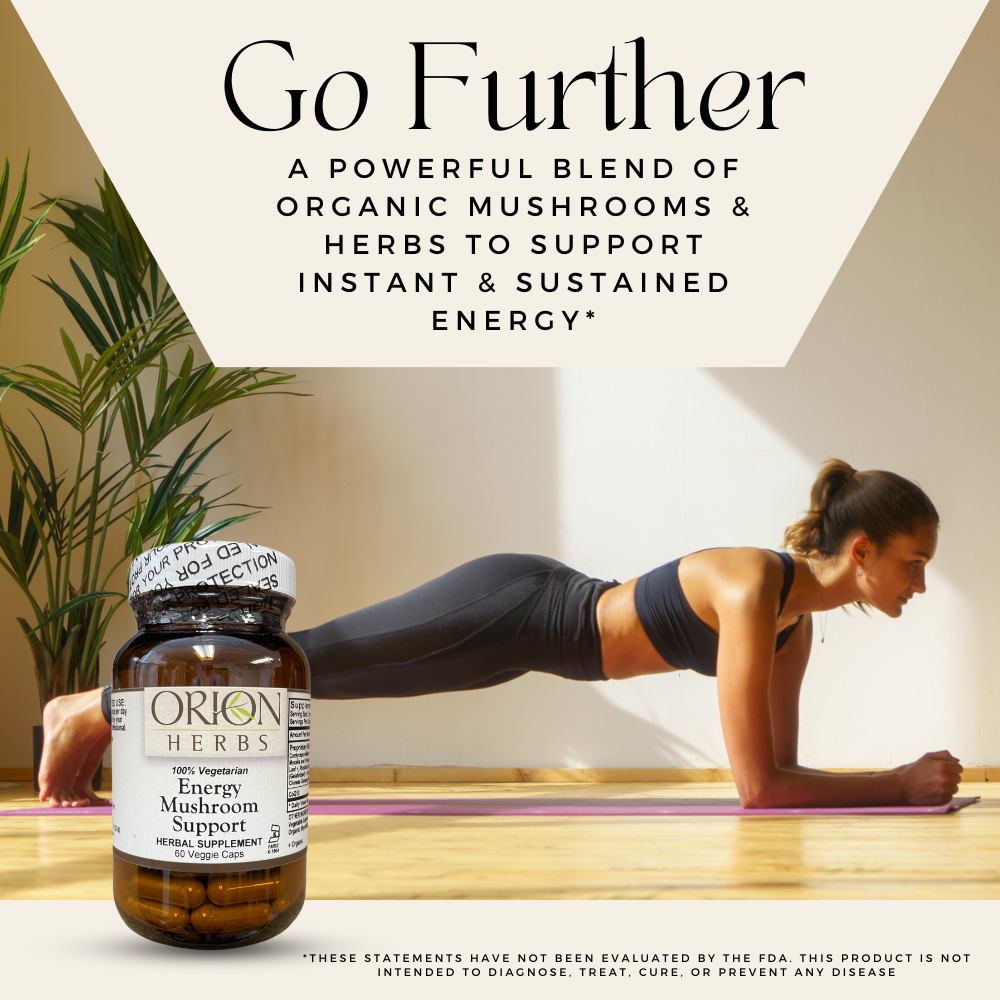 Energy Mushroom Support