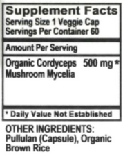 Cordyceps Mushroom