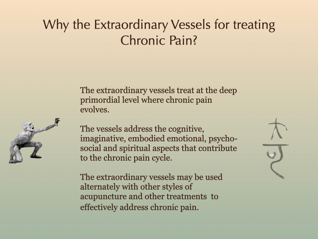 Treating Chronic Pain with Acupuncture’s Extraordinary Vessels - In Person Workshop