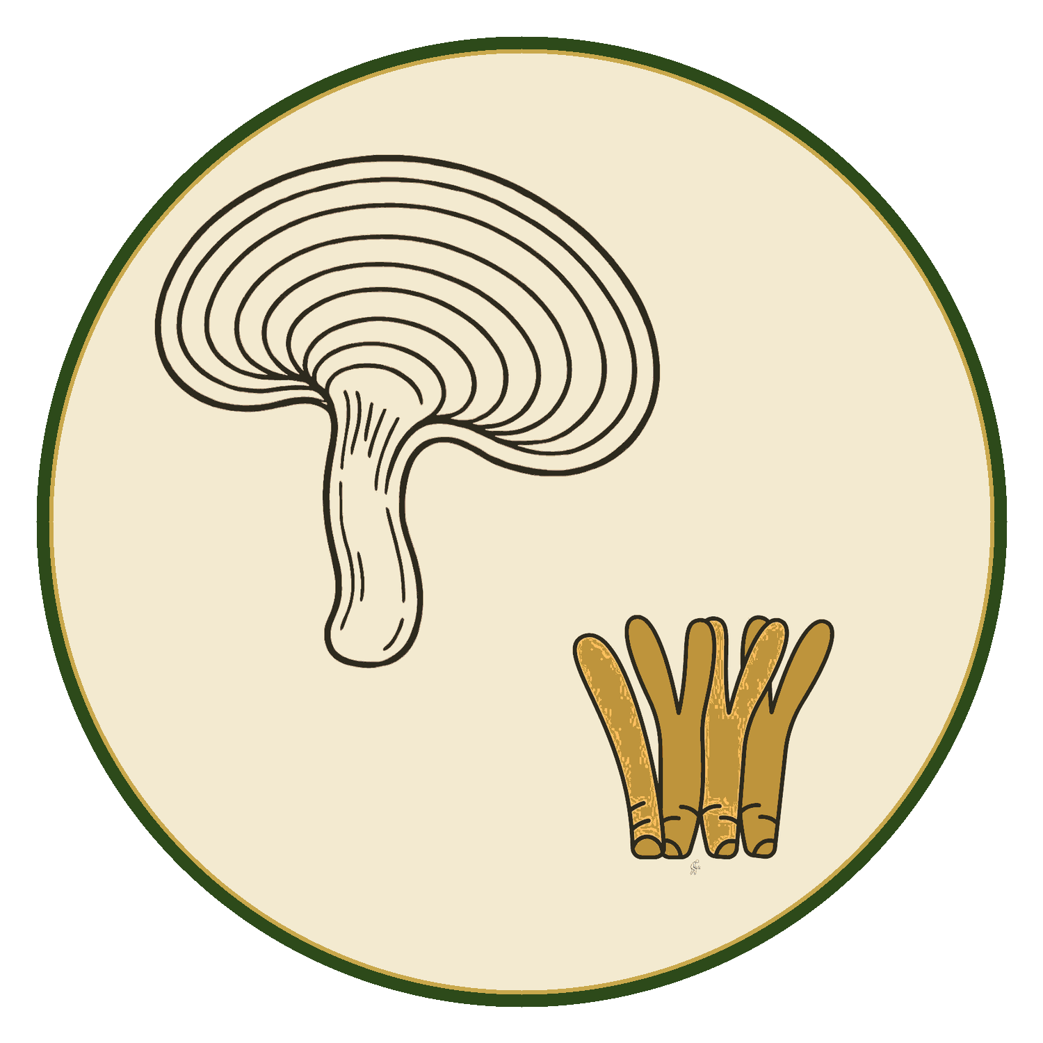 mushroom_circle.png